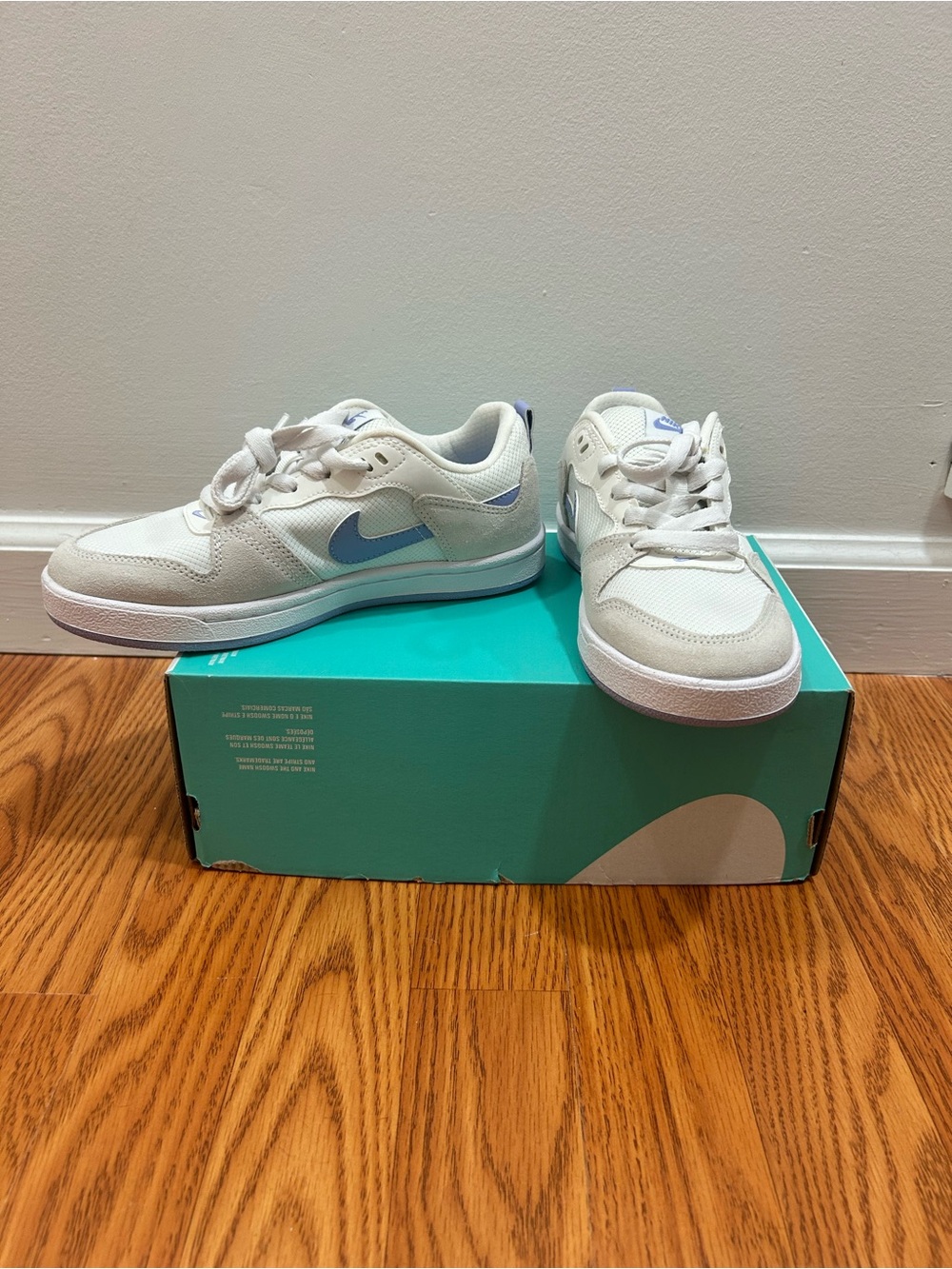 Women’s Nike SB Alleyoop